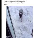 sincere elven villainous